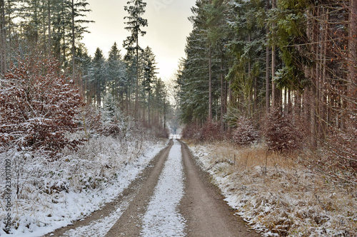 Nature Soul Impression