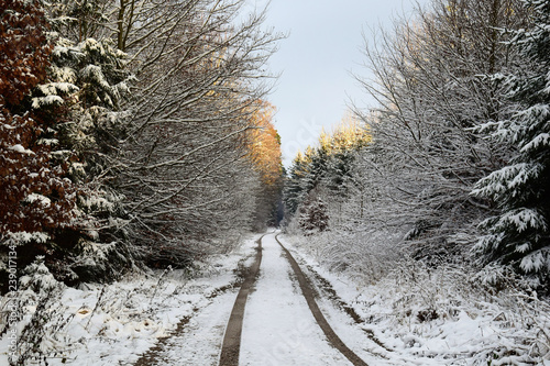 Nature Soul Impression