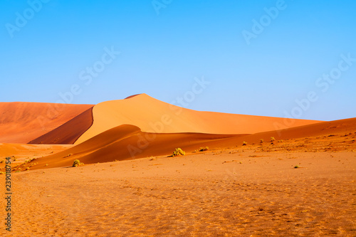 Sandy orange dunes under the blue clear sky in the Namib desert Naukluft Park Sossusvlei, Namibia, Southern Africa