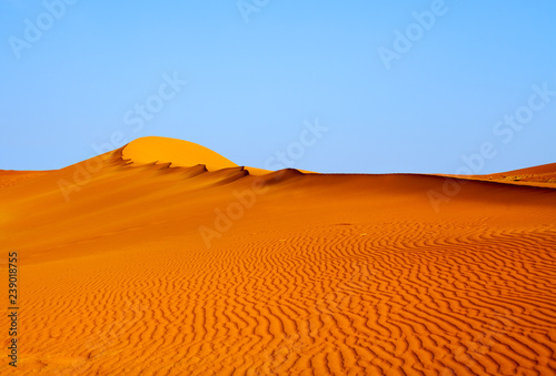 Sandy orange dune under the blue clear sky in the Namib desert Naukluft Park Sossusvlei, Namibia, South Africa