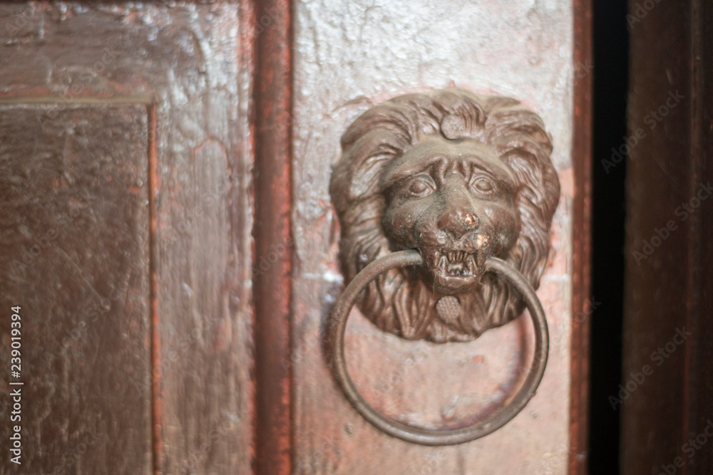 Old Door knoker handle in the form of a lion's head on an wooden door