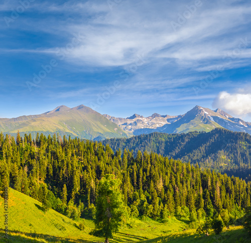beautiful mountain landscape, green mountain valley under a blue sky
