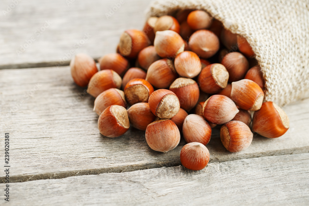 Hazelnuts in a cover, poured out from a bag from burlap on a gray wooden table Hazelnuts in a cover, poured out from a bag from burlap on a gray wooden table