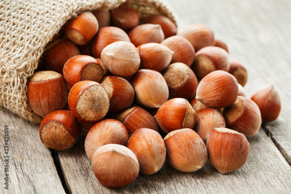 Hazelnuts in a cover, poured out from a bag from burlap on a gray wooden table Hazelnuts in a cover, poured out from a bag from burlap on a gray wooden table