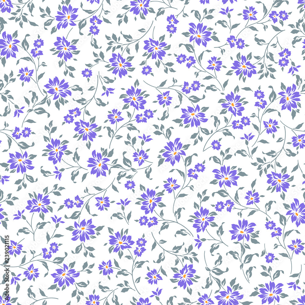 小花柄, 小花柄,