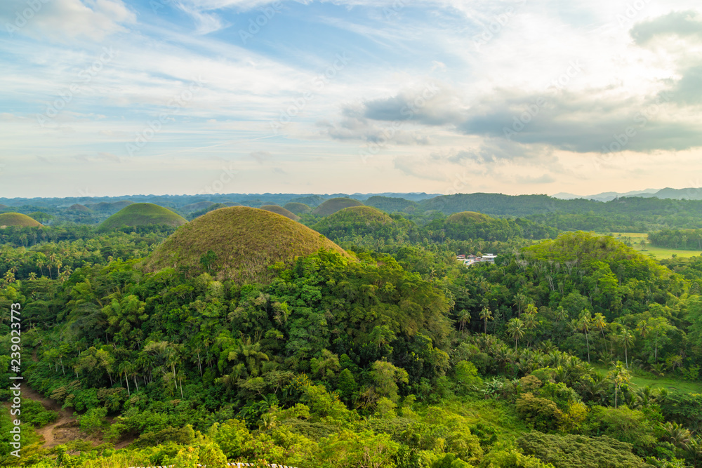 Fototapeta premium View of The Chocolate Hills. Bohol, Philippines