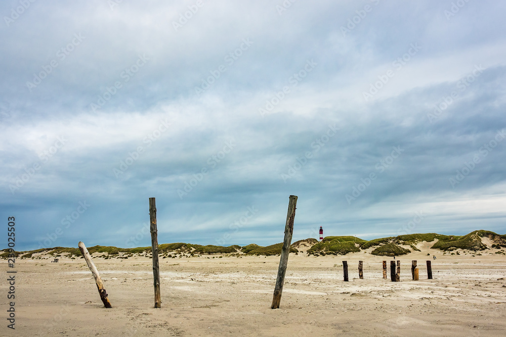 Landschaft mit Dünen auf der Insel Amrum