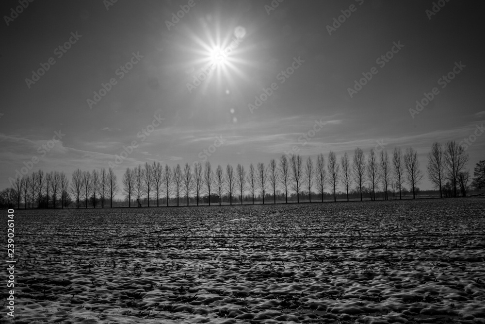 Fototapeta premium Panorami della campagna lodigiana