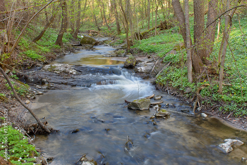 River in the forest in the spring
