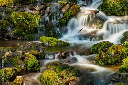 august river over rocks with moss growing