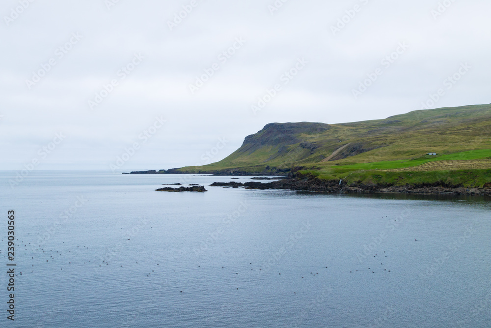 Borgarfjordur fjord view, east Iceland. Icelandic view
