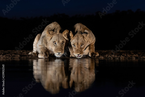 Canvas Print Brother & Sister 2