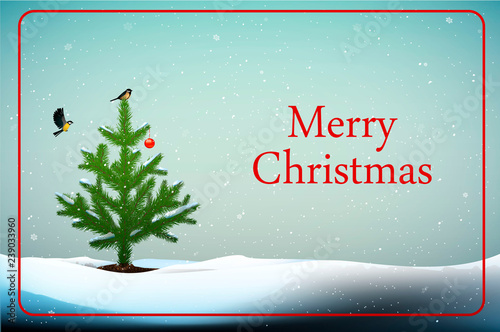 merry Christmas winter card, Small Christmas tree with titmouse bird on the top and red ball decoration growing in snowdrifts and text Merry Christmas, Eco Christmas idea,