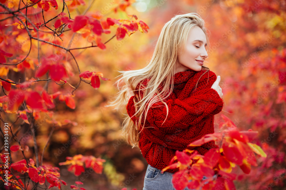 Close up portrait of a Beautiful girl near colorful autumn leaves. Pretty tenderness model looking at camera. Close up portrait of a Beautiful girl near colorful autumn leaves. Pretty tenderness model looking at camera.