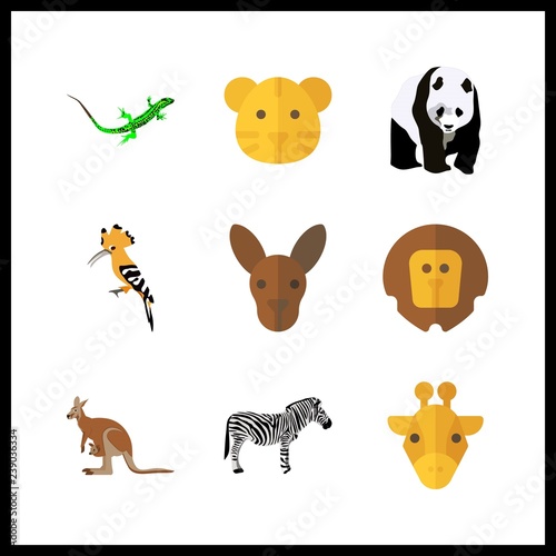 9 zoo icon. Vector illustration zoo set. animal and lizard icons for zoo works