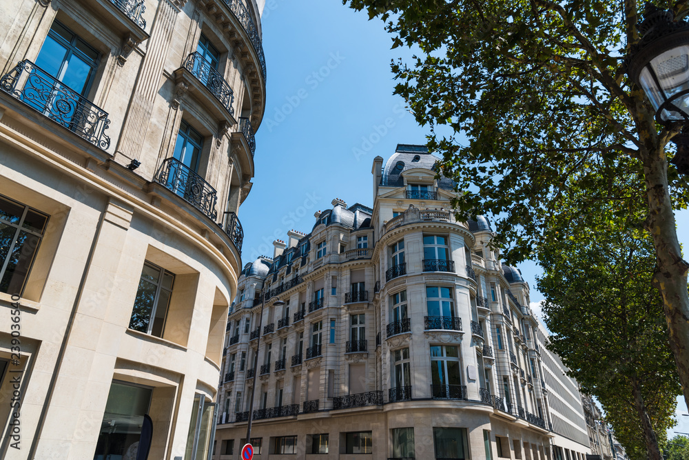 Elegant buildings in Champs Elyees in Paris