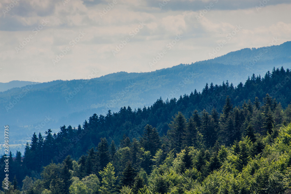Fototapeta premium Beautiful scenery with forest, mountains and clear sky