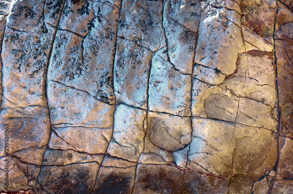 фон, текстура скальной породы. красочные узоры на скальных камнях. Stock  Photo | Adobe Stock