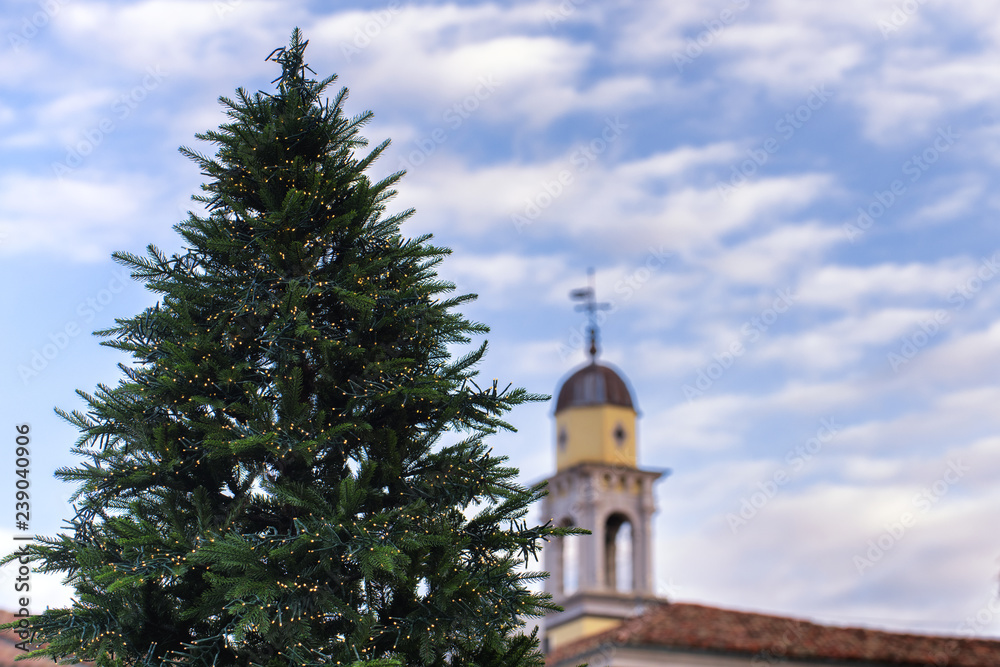 Christmas tree with bell tower in background. Udine city, Friuli Venezia Giulia region, Italy.