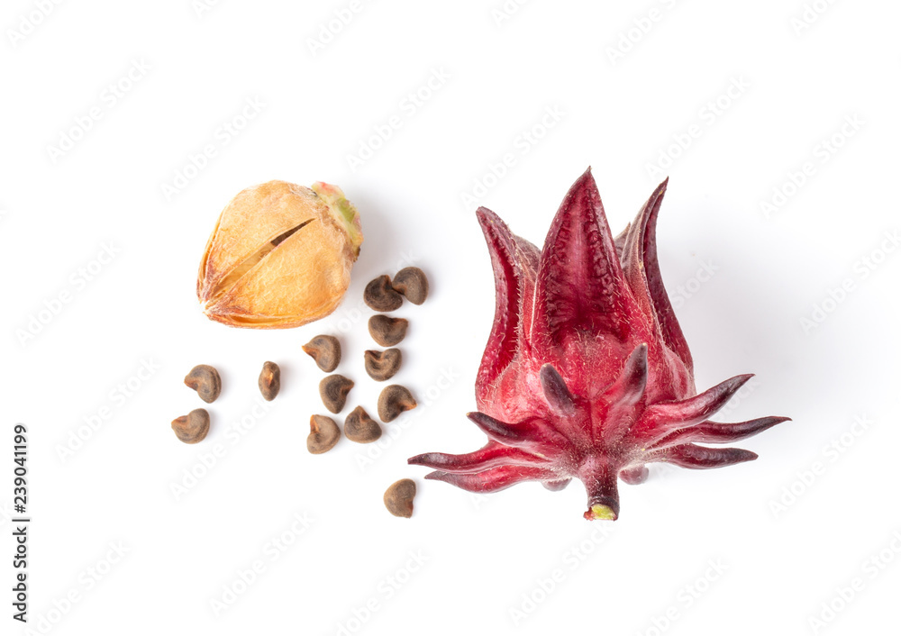 Fototapeta premium roselle hibiscus on white background. top view
