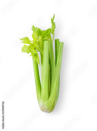 Celery isolated on white background. top view