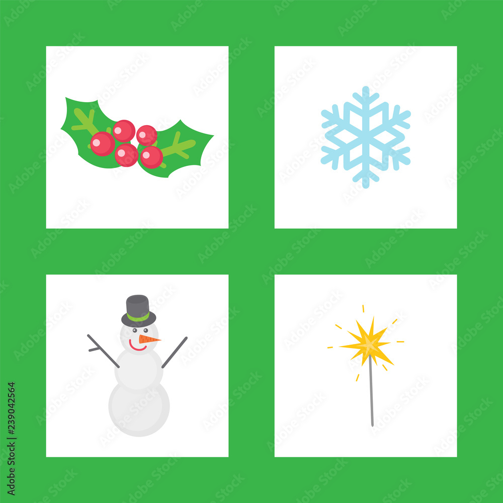 Fototapeta premium Christmas Mistletoe, Symbols of Winter Holiday