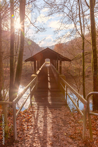 wooden bridge in the park