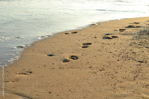 Imprint your feet on the sand. Footprints in the sand