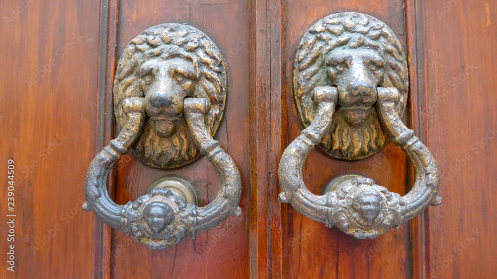 Old door knocker in the form of a lion's head
