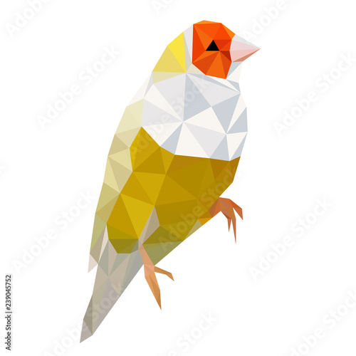 Colorful polygonal style design of yellow tropical bird