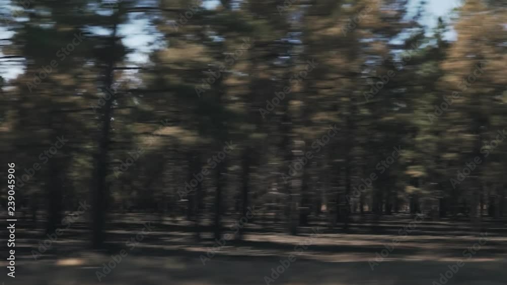 Driving plate side view moving through forest and hills in daytime Driving plate side view moving through forest and hills in daytime