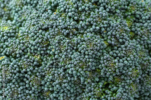 Closeup of broccoli © pikumin
