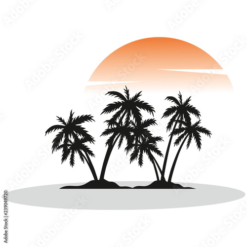 Fototapeta Naklejka Na Ścianę i Meble -  palm trees and sunset