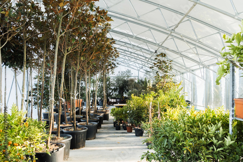 Photo of beautiful greenhouse in botanical garden