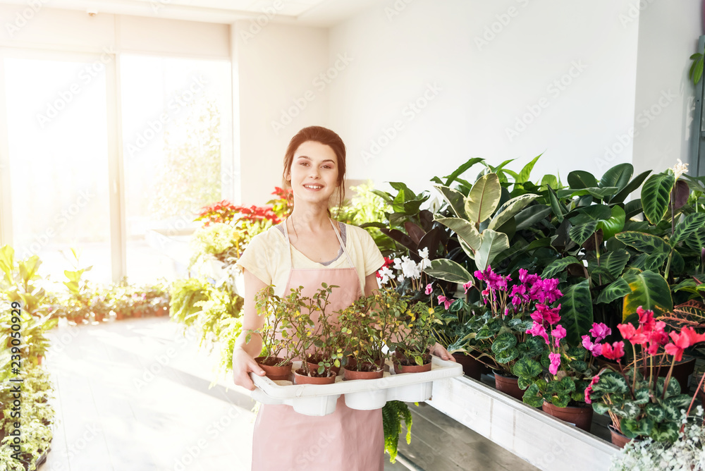 Florist carrying small terracotta pots wit flowers