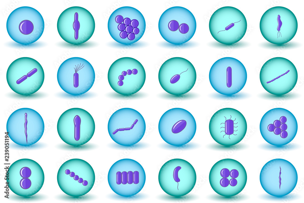 Purple coccus, bacillus, curved bacteria in blue and green circles. Purple coccus, bacillus, curved bacteria in blue and green circles.