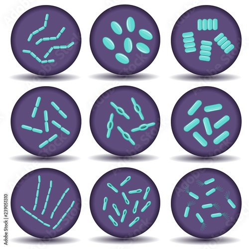 Arrangements of green bacillus bacteria