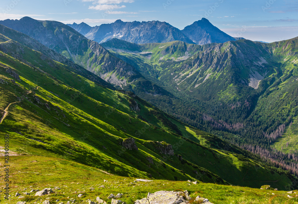 Fototapeta premium Summer Tatra Mountain, Poland