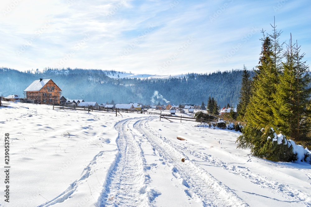 small village in winter