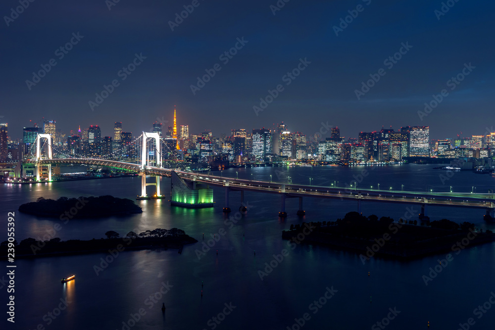 View of Tokyo cityscape at night in Japan.