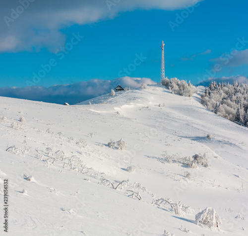 Winter hoar frosting trees, tower and snowdrifts (Carpathians, Ukraine)