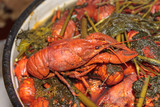 Boiled crayfishes with herbs in a large saucepan.