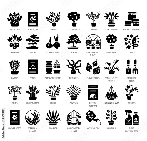 Different kinds of house plants in containers. Succulent, cactus, bamboo, palm, fern. Vector flat icon set. Isolated objects
