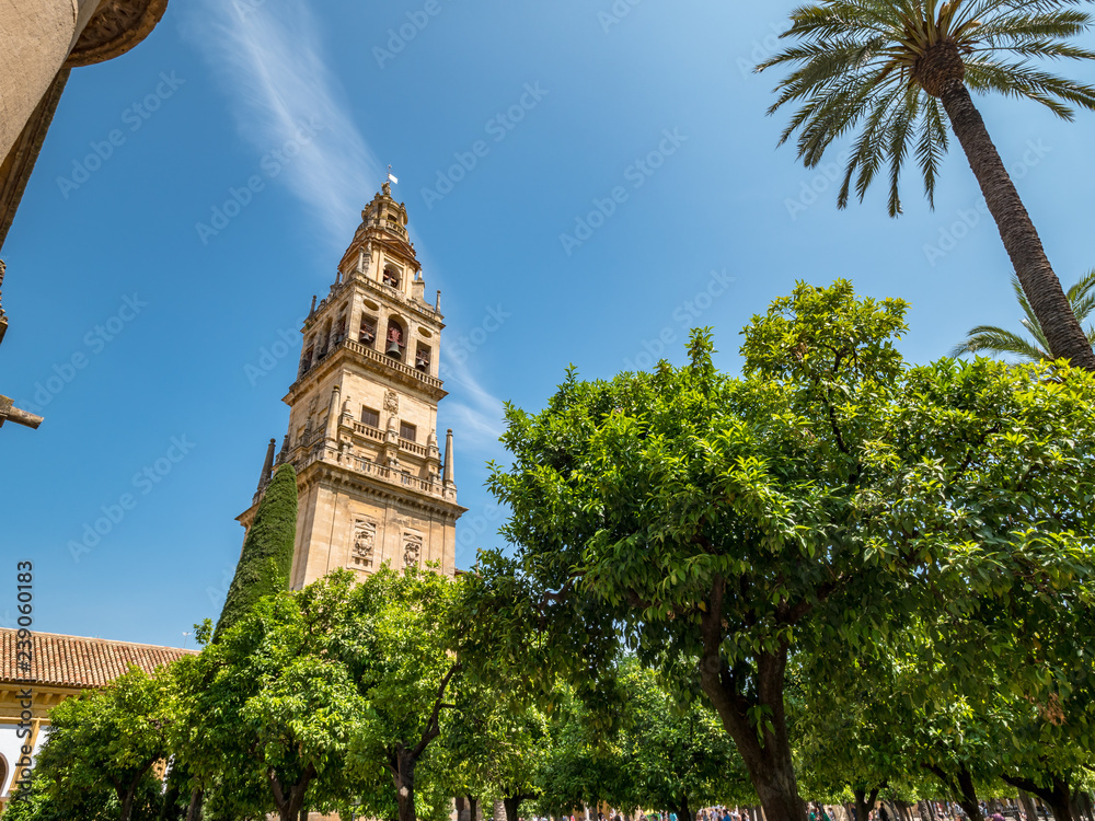 Patio de los naranjos, a orange tree garden next to the Mosque-Cathedral and Torre del campanarios (Belfry tower) in the background.