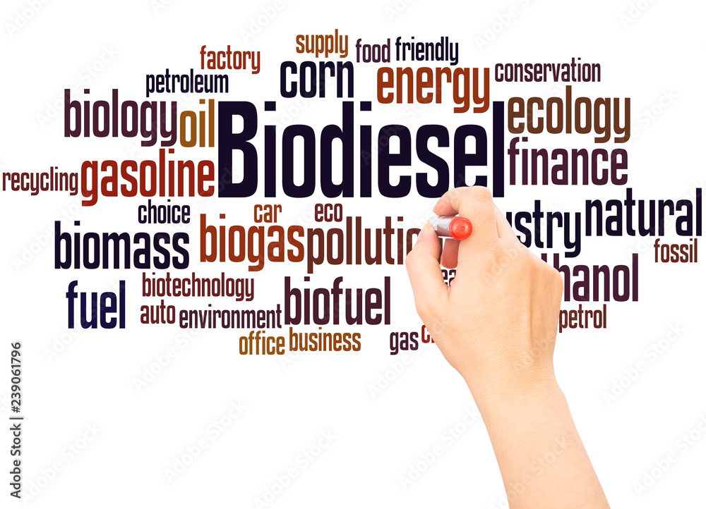 Biodiesel word cloud hand writing concept Biodiesel word cloud hand writing concept