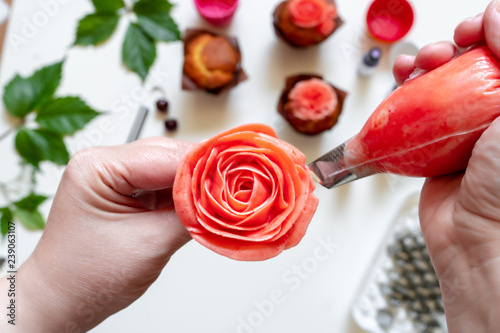on white background cake molds, spatula, corolla, cones for cream, korean buttercream flowers photo