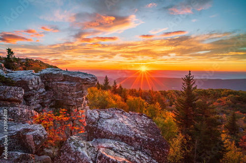 Morning Radiance