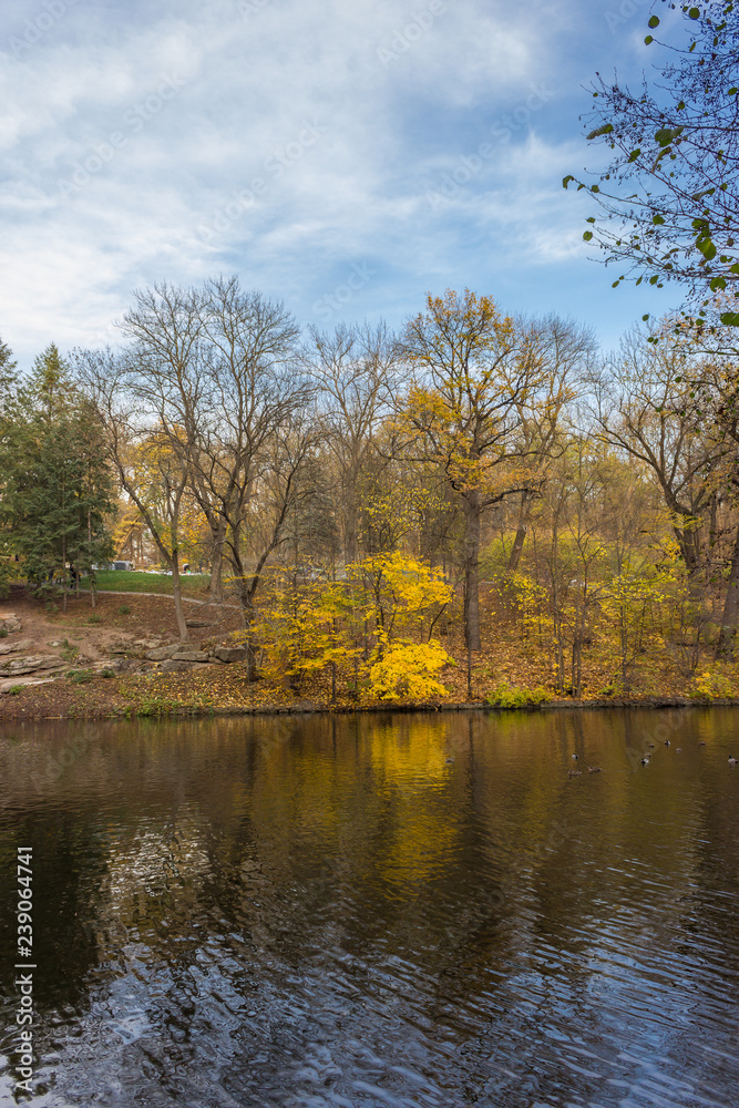 autumn in the park autumn in the park
