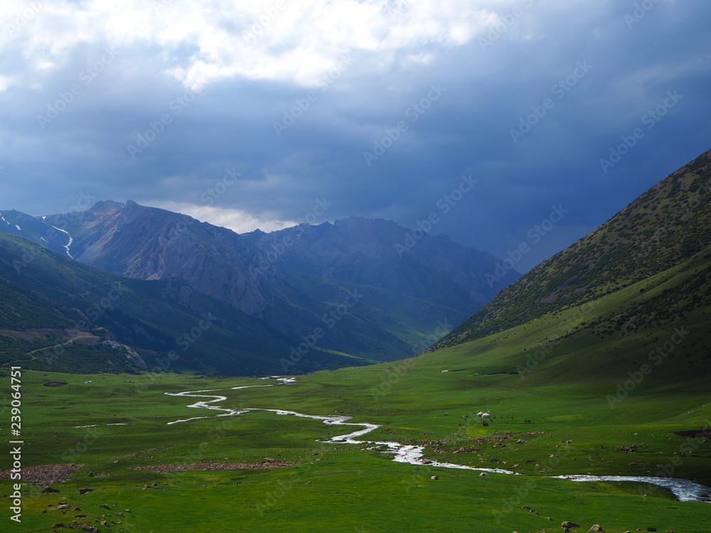 Green mountain valley with blue skyes