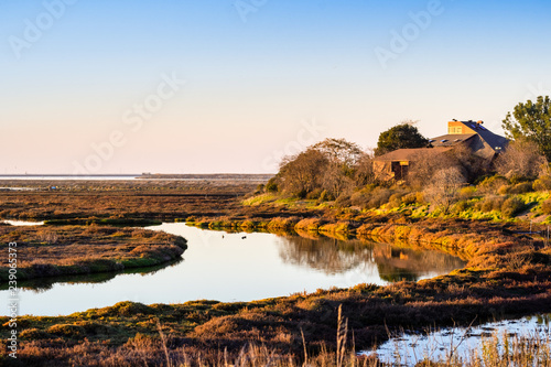 Fototapeta Naklejka Na Ścianę i Meble -  Sunset view of vegetation and tidal marsh in Alviso, Don Edwards San Francisco Bay National Wildlife Refuge, San Jose, California